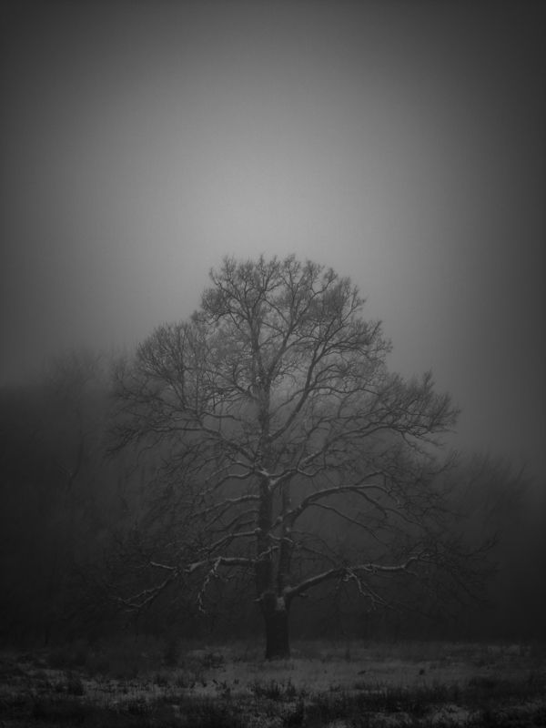 Dark фото превью