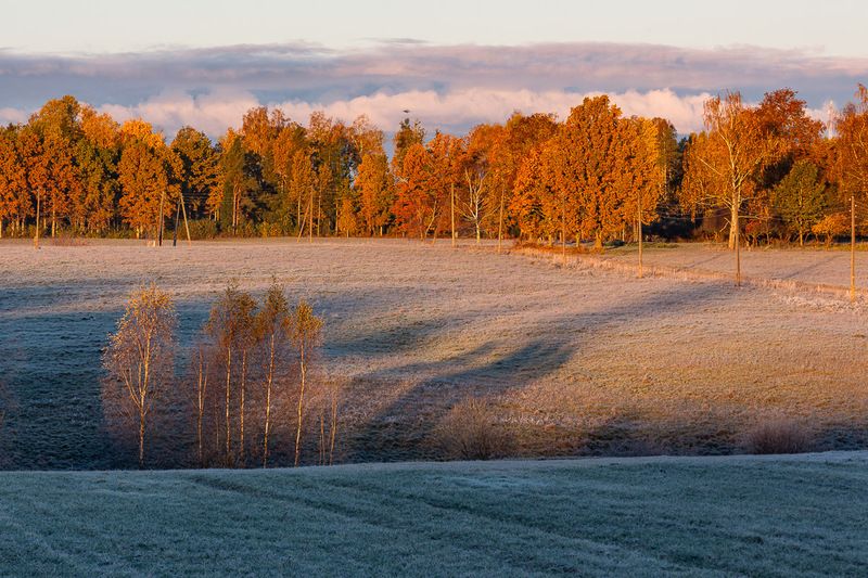 Silencephoto preview