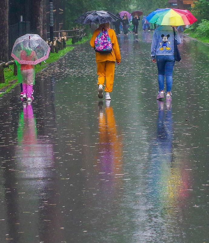 Дождьphoto preview