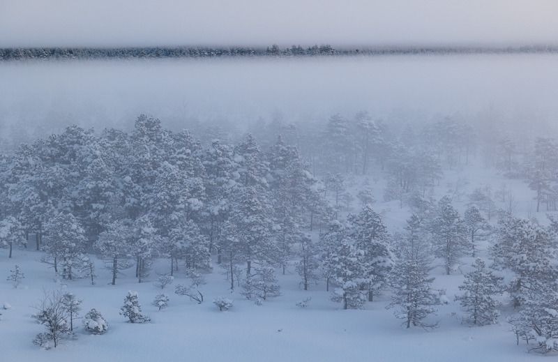 Мистическое утро/Mistic morningphoto preview