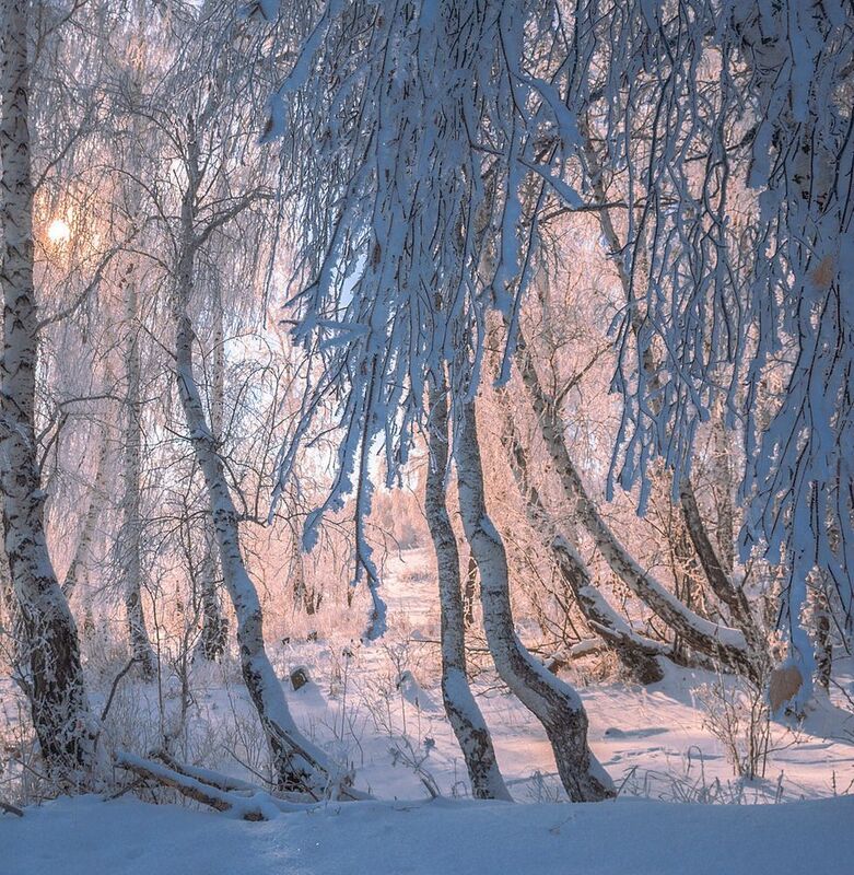 зимнее теплоphoto preview