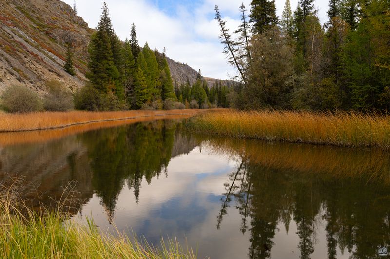 горный алтай Тихая рекаphoto preview