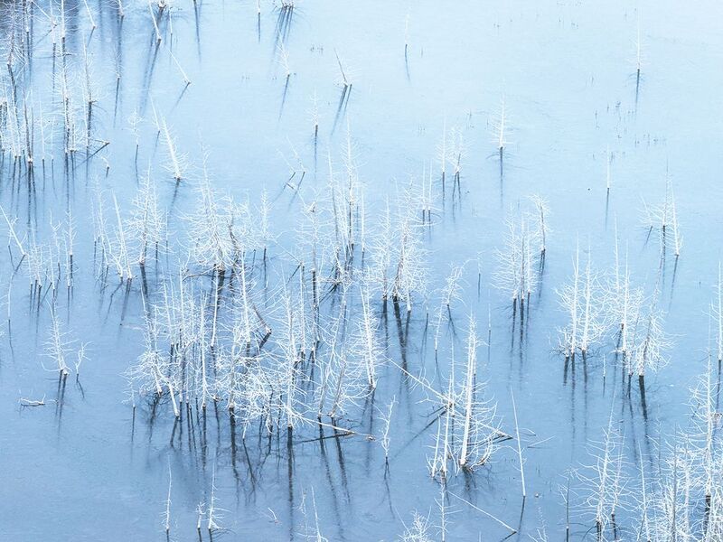 nature, winter, ice, snow, frozen, lake, frost, freezing, subzero, naturephotography, wonderworld, wintervibes, north, winterwonderland, fineart, fineartphotography, reflection, blue, minimalist, isolated, twig, crust, deadtrees, wintermood, blueaesthetic Falling leavesphoto preview