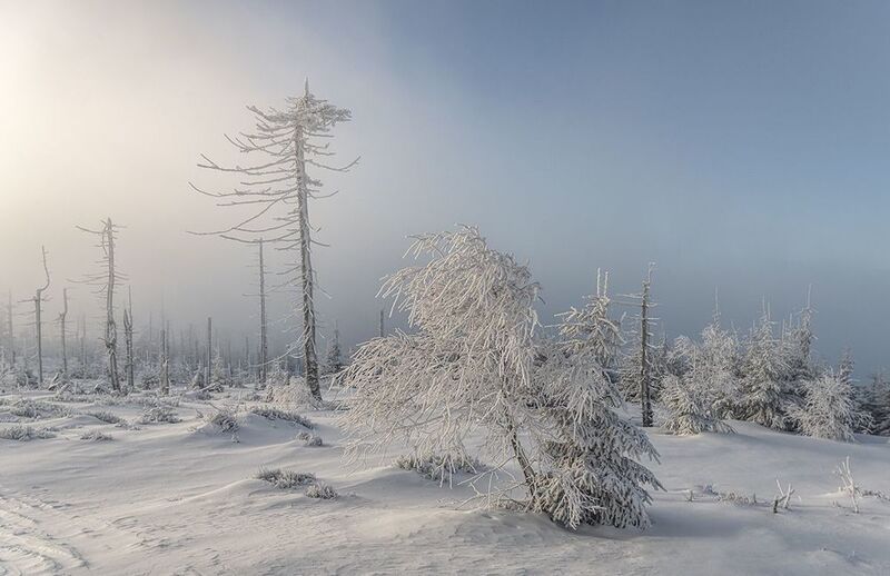 Zima w Beskidachphoto preview