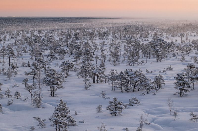 Зимнее утро/Winter morningphoto preview