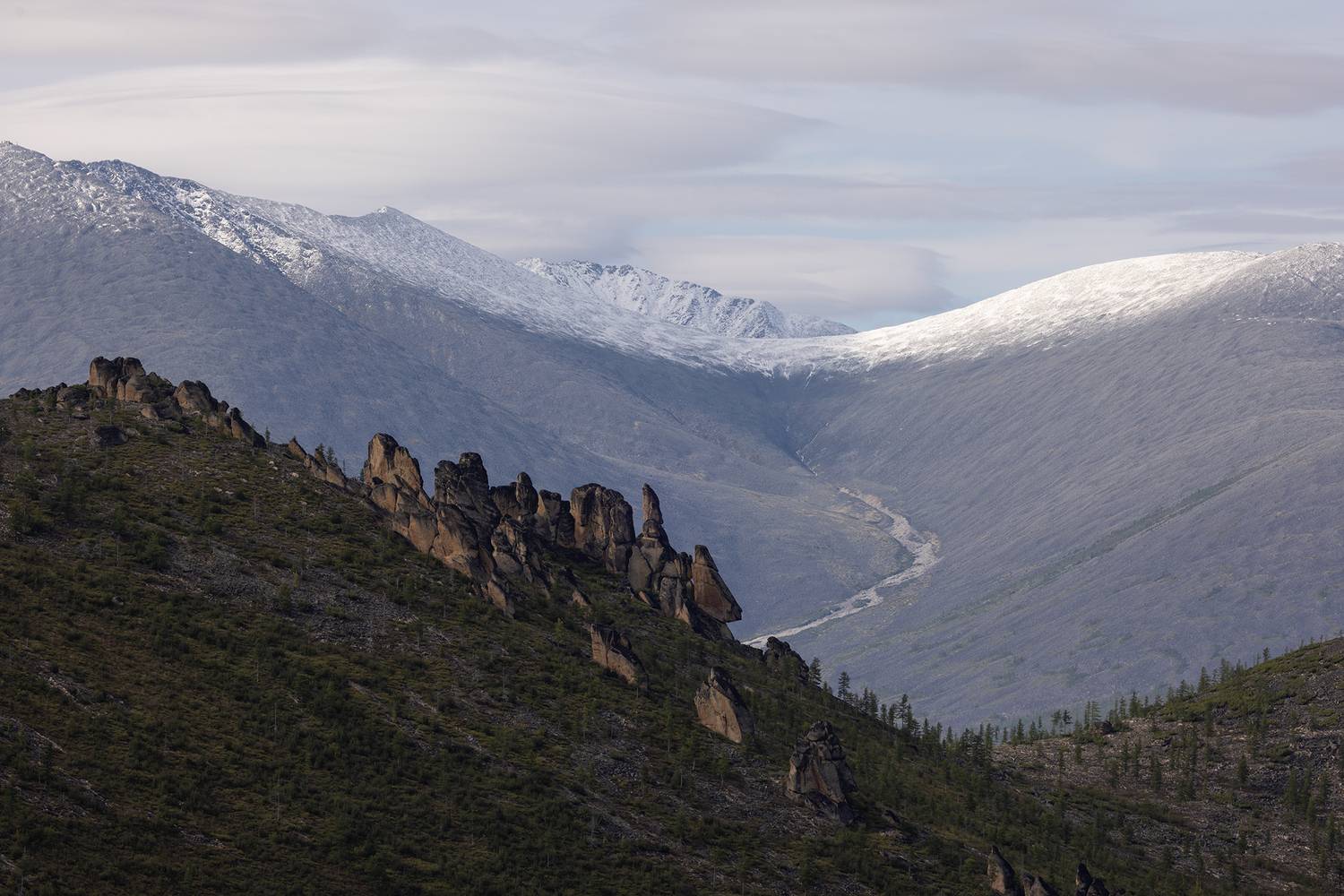 , Антон Селезнев