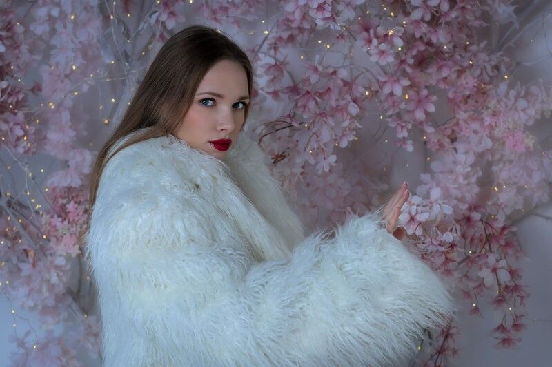 красивая девушка, гламур, шубка, вишневый цвет, студия Вишневый цвет фото превью