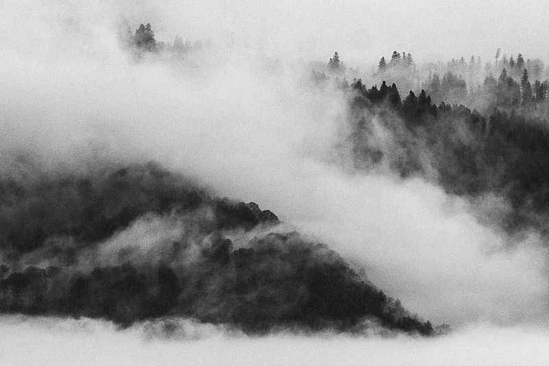 Туман фото превью