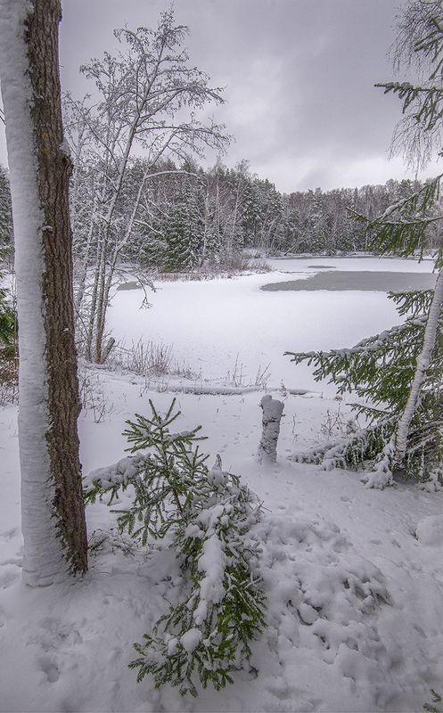 *** фото превью