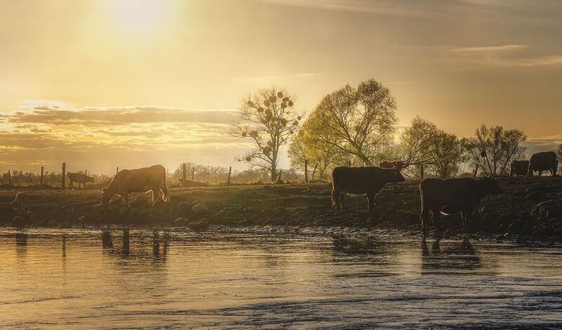 O zachodziephoto preview