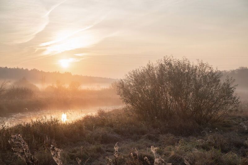 Владимир, город Владимир, природа Владимира, Владимирская область, туман Рассвет фото превью