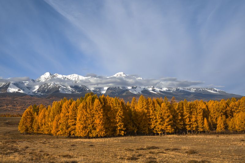 россия, горный алтай,счх,осень,утро *** фото превью