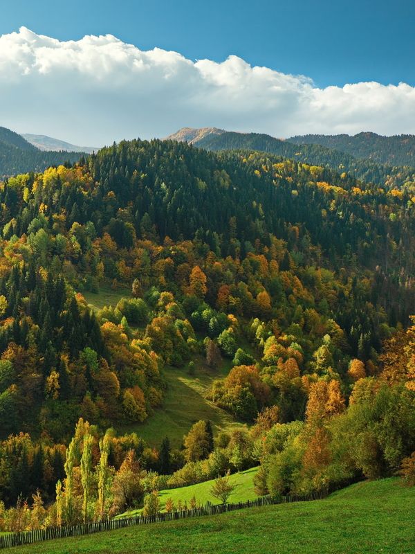 горы, осень, грузия, сванетия Надвигается грозовой фронт фото превью