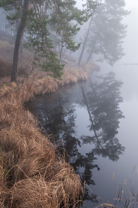 Утро на озере фото превью