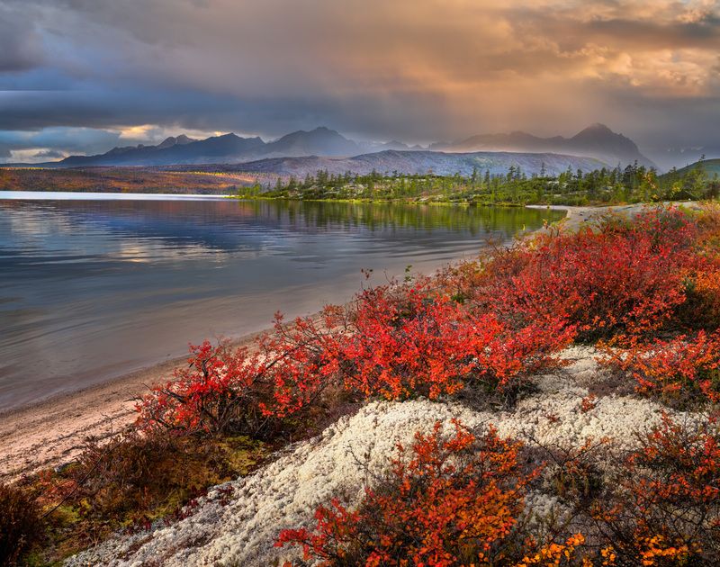 Приглашение в край, где молчат камни и говорят сердца Есть на земле места, запечатленные в истории слезами, и места, отмеченные светом неба. Колыма — и то, и другое. Это земля-загадка, земля-испытание, земля-откровение. Её великие просторы помнят всё, но  фото превью