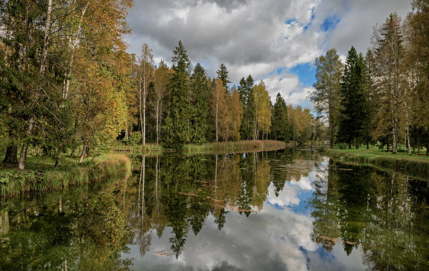 гатчина, дворцовый парк, осень, Тихонов Дмитрий