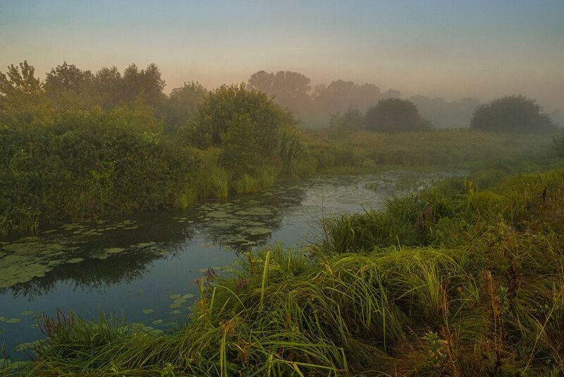 лето речка утро туман природа пейзаж Летнее утро.photo preview