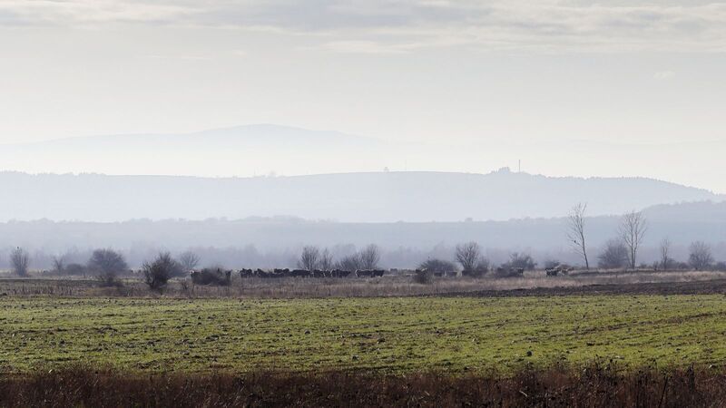 Расстояния в туманеphoto preview