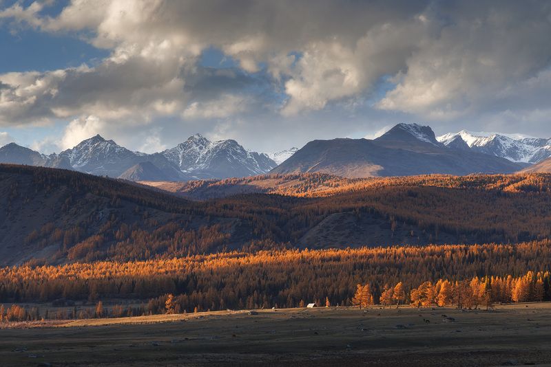 алтай, горный алтай, вечер, беляши, джазатор, пейзаж, уходящий свет, последние лучи Уходящий светphoto preview