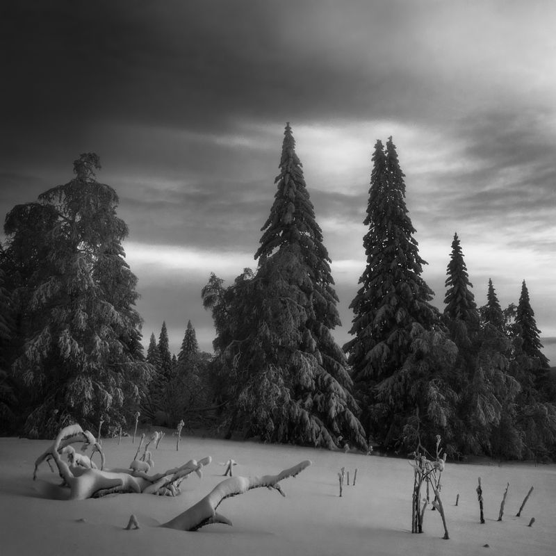 урал, зюраткуль, пейзаж, зима, горы, южный урал, утро, рассвет, монохром, лес, снег Утро на склонах Зюраткуляphoto preview