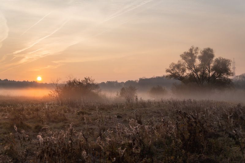 Владимир, город Владимир, природа Владимира, Владимирская область, туман Утреннее солнце фото превью