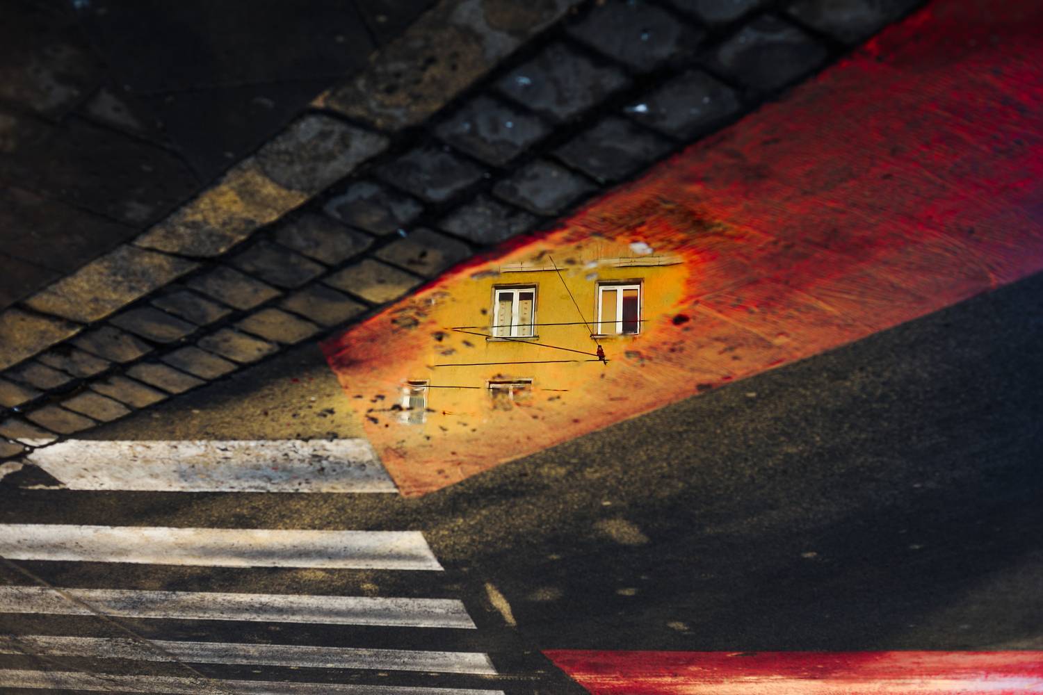 ..., Krzysztof Trojanowski