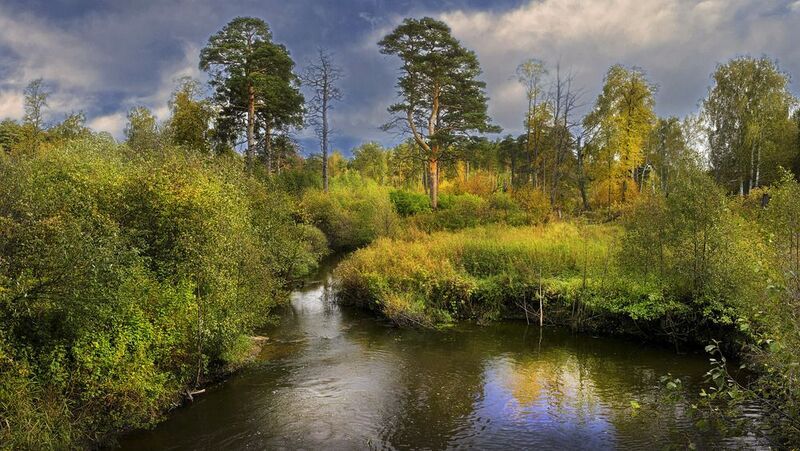 Зауральеphoto preview