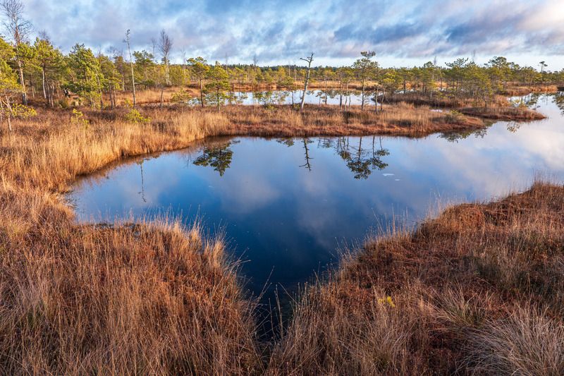 Яркое утроphoto preview