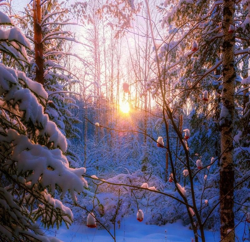 вечерняя открыткаphoto preview