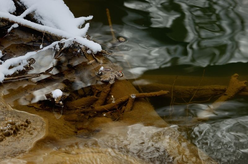 зима, лес, утро, ручей Зимний ручейphoto preview