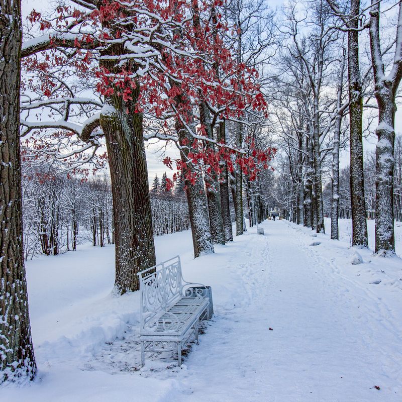 *** фото превью