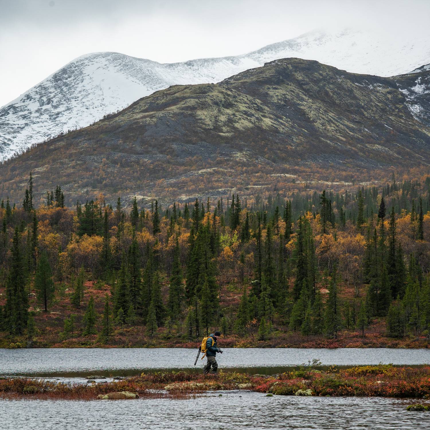 , Ян Сурогин
