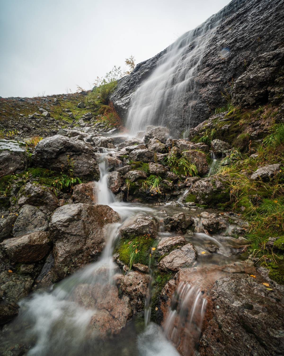 , Ян Сурогин