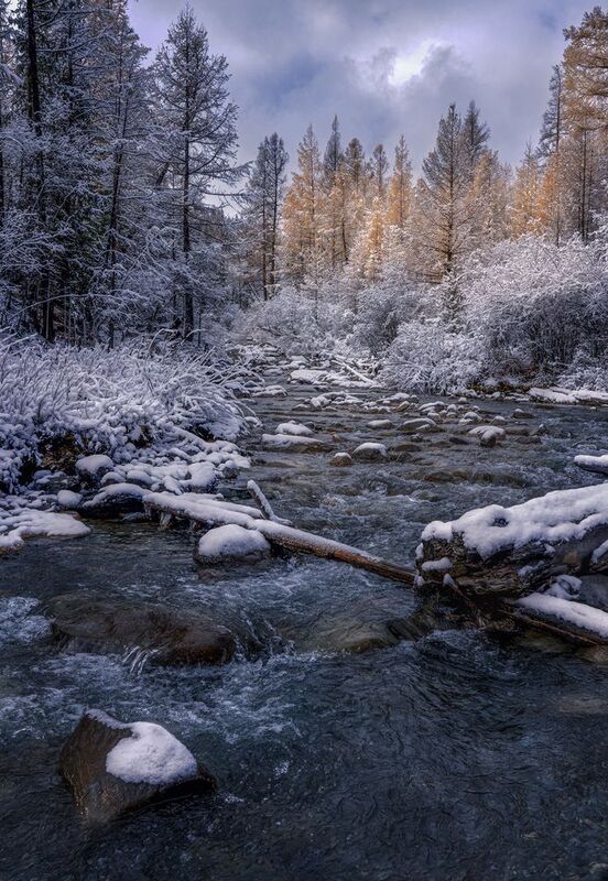 #джазатор #осень алтай #горы #речки Предзимье на Алтае.photo preview