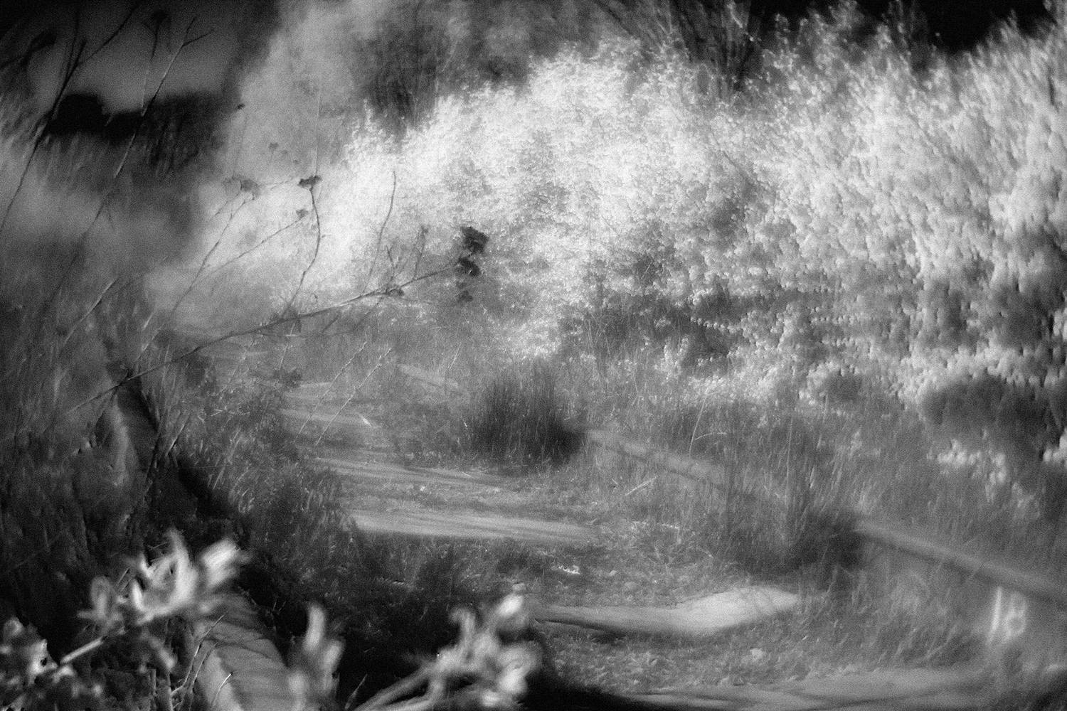 , Андрей Петросян