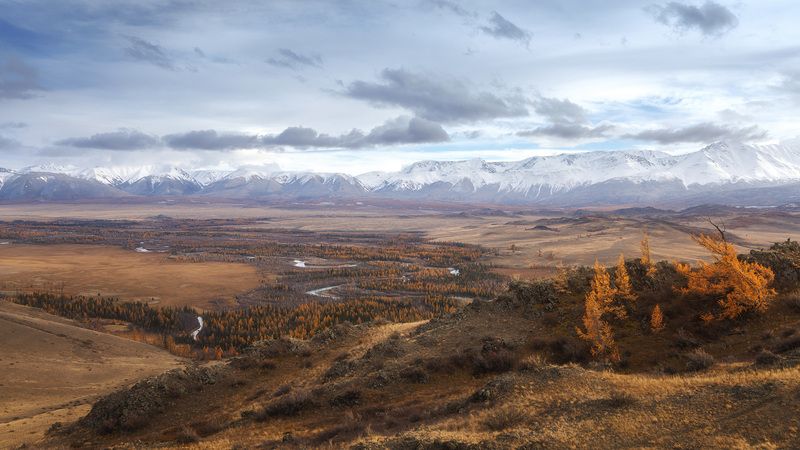 Курайская степьphoto preview