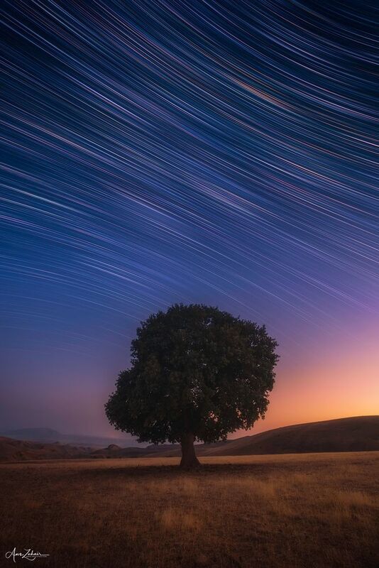 startrails The Lonely Treephoto preview