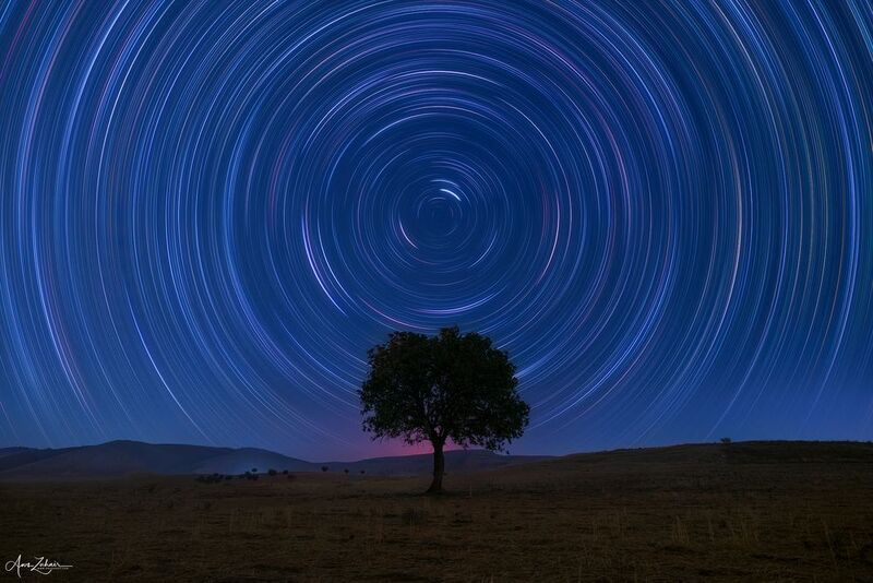 startrails The Lonely Treephoto preview
