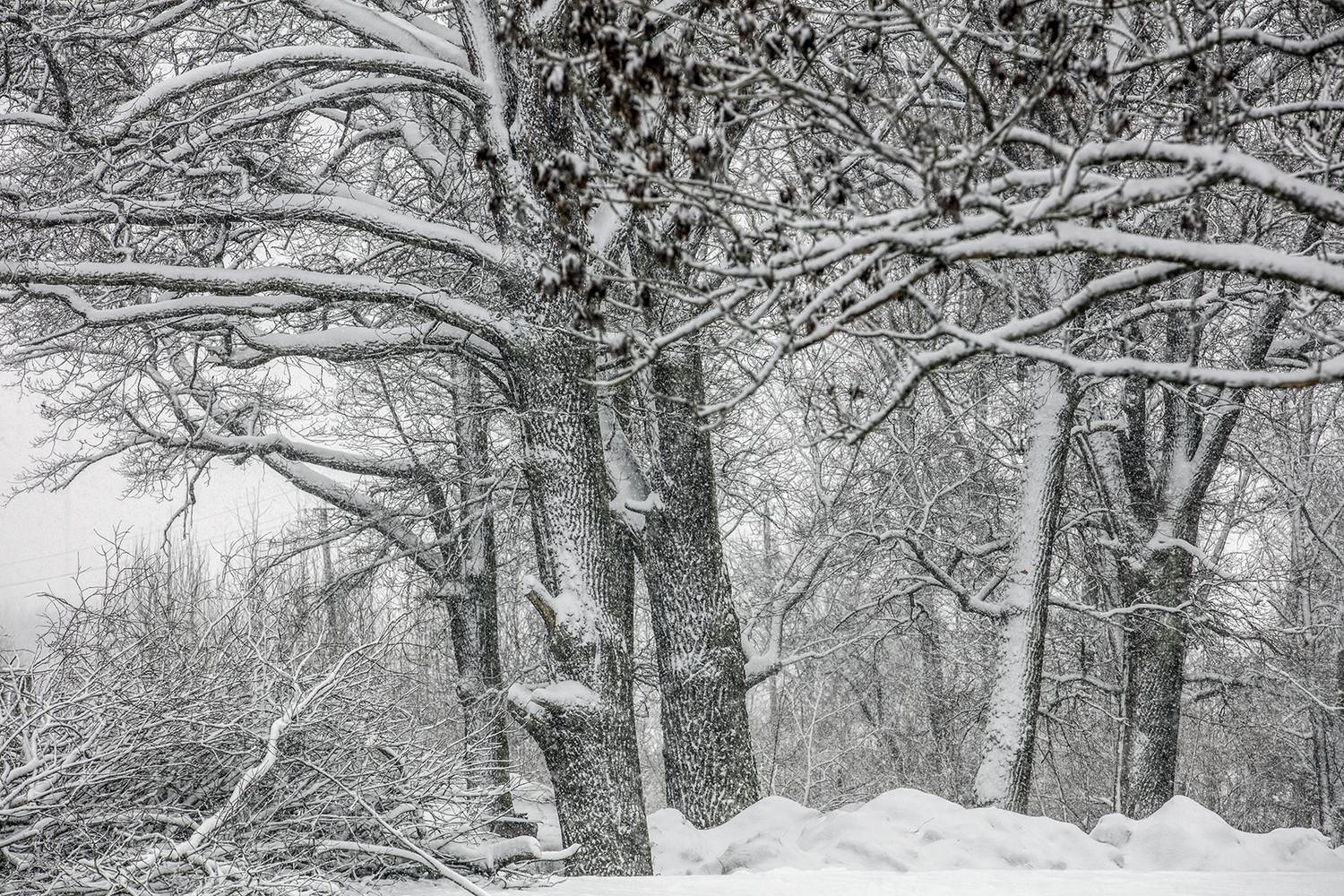 , Aleksandr Mihailov