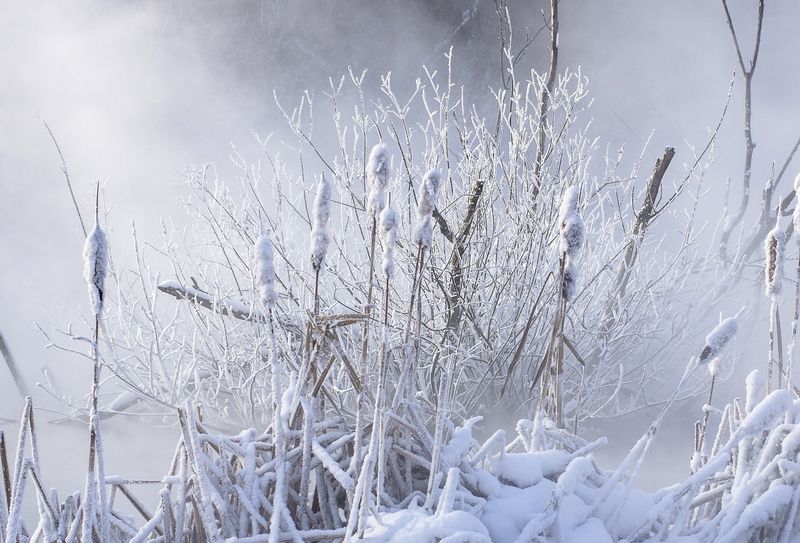 Зимаphoto preview