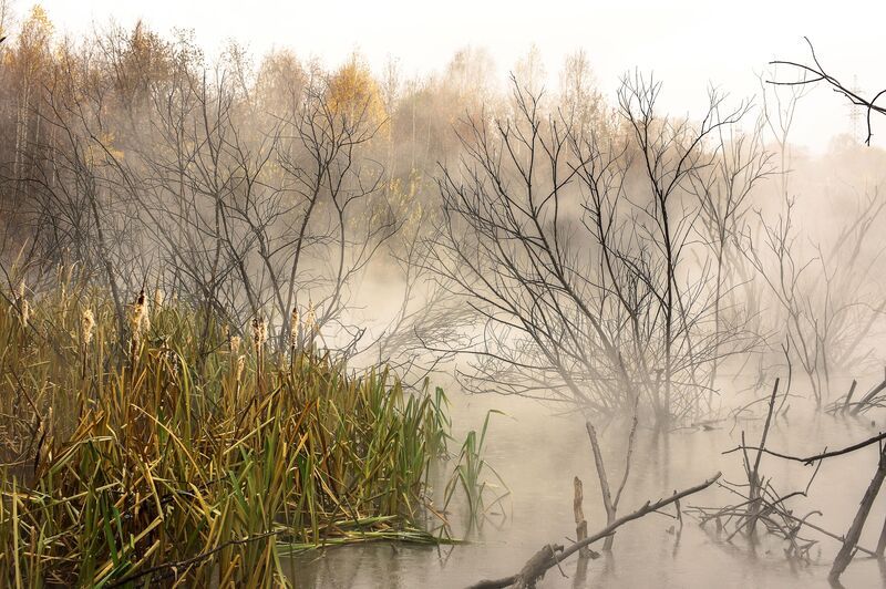 Осеньphoto preview