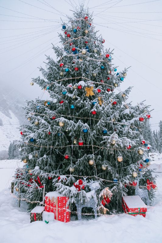 кыргызстан, ала-арча В ожидании балаphoto preview