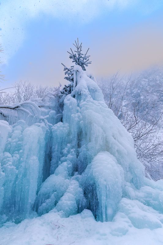 кыргызстан, ала-арча В ожидании балаphoto preview