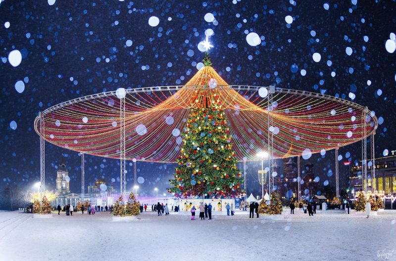 Главная ёлка Тулы 2026photo preview