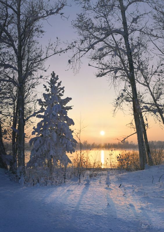 зимнееphoto preview