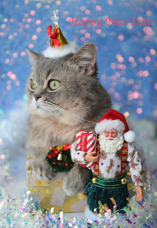 С наступающим Новым годомphoto preview