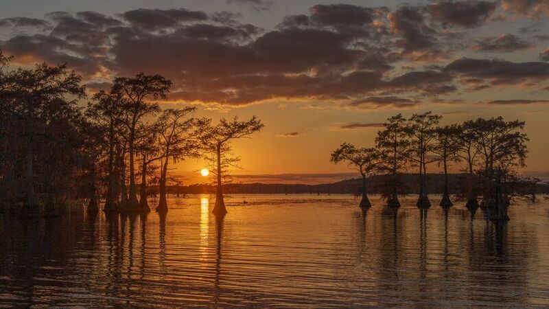 caddo lake, sunrise, golden glow Sunrise over Caddo Lakephoto preview