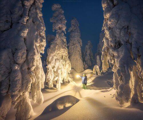 С наступающим Новым годом!
