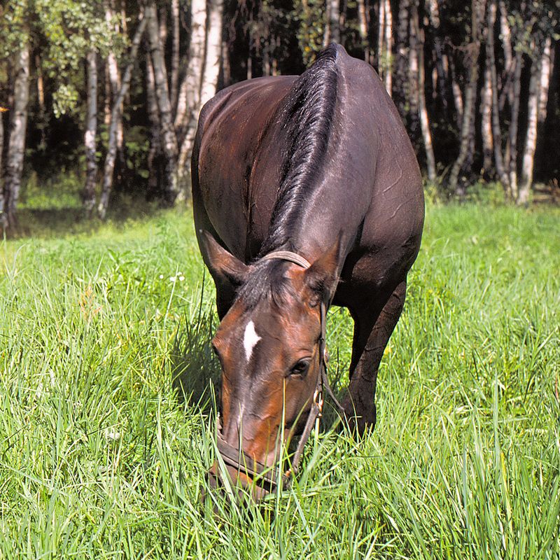 С Новым Годом!photo preview