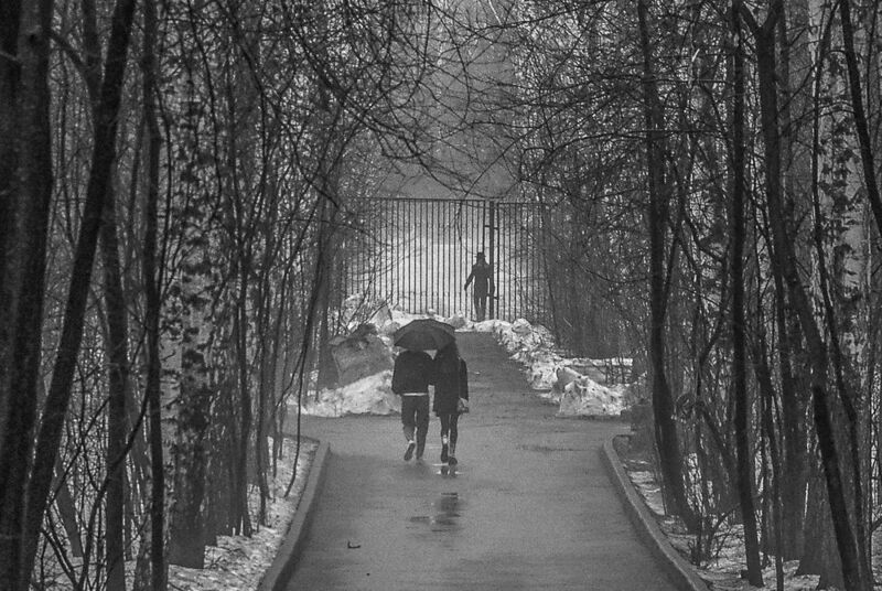 Парк фото превью